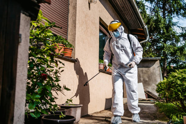 Best Affordable Pest Control Services  in Gadsden, AL